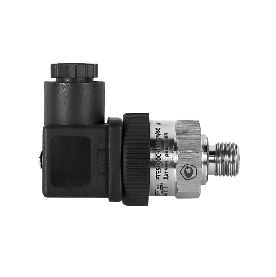 PTE5000C-010-G1/4-C датчик давления с аналоговым выходом