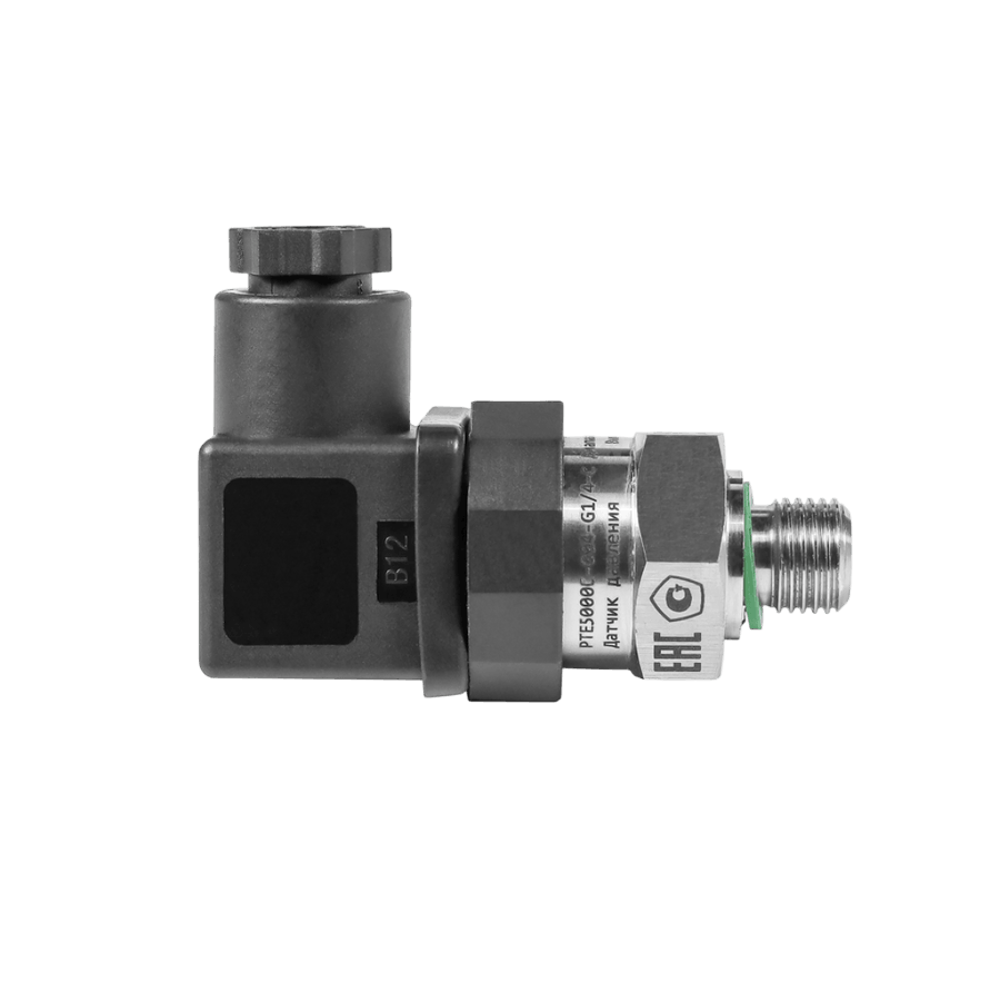 PTE5000C-004-G1/4-C датчик давления с аналоговым выходом